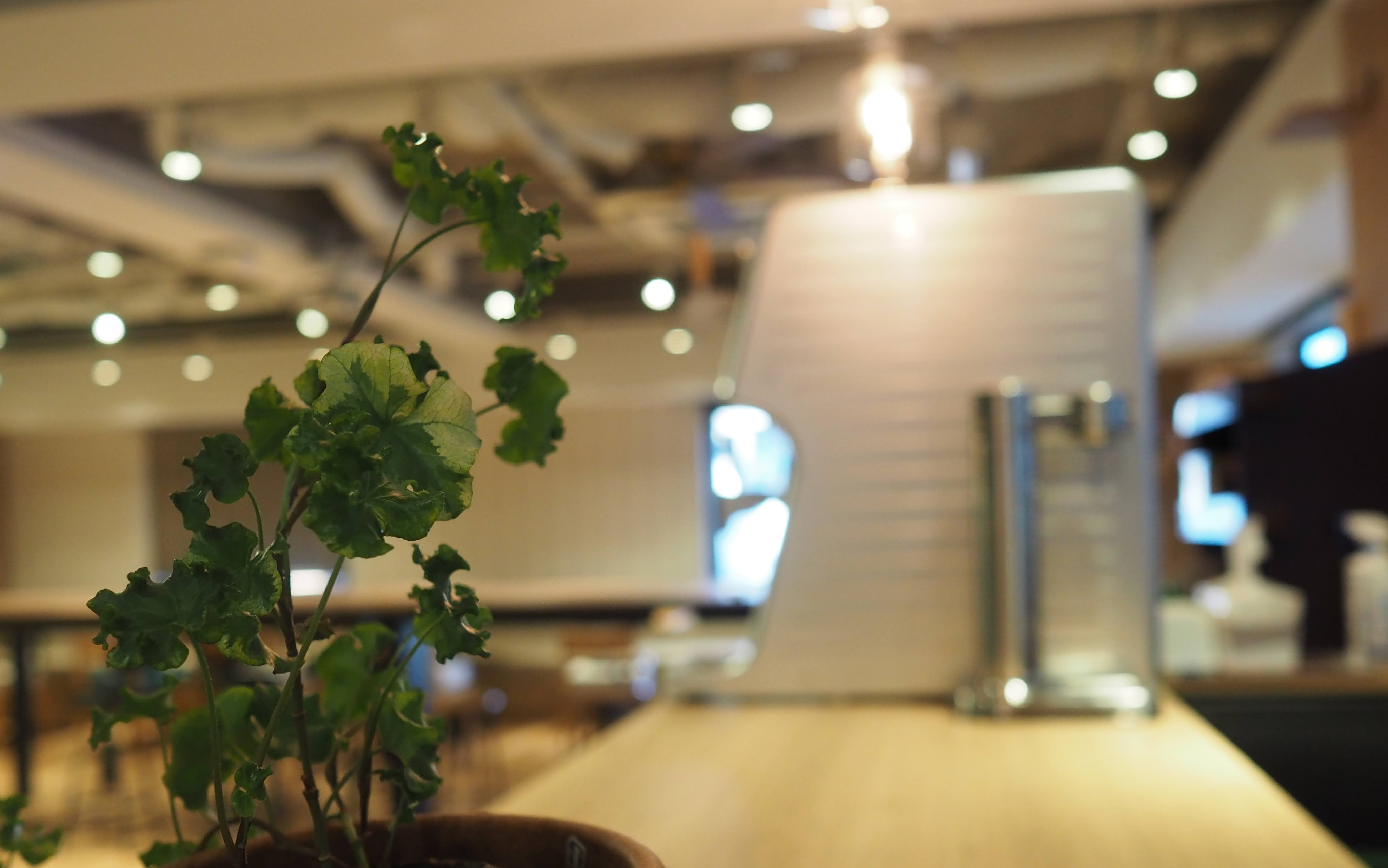 アクロポリス進化中。