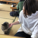 鳥井 はなえ