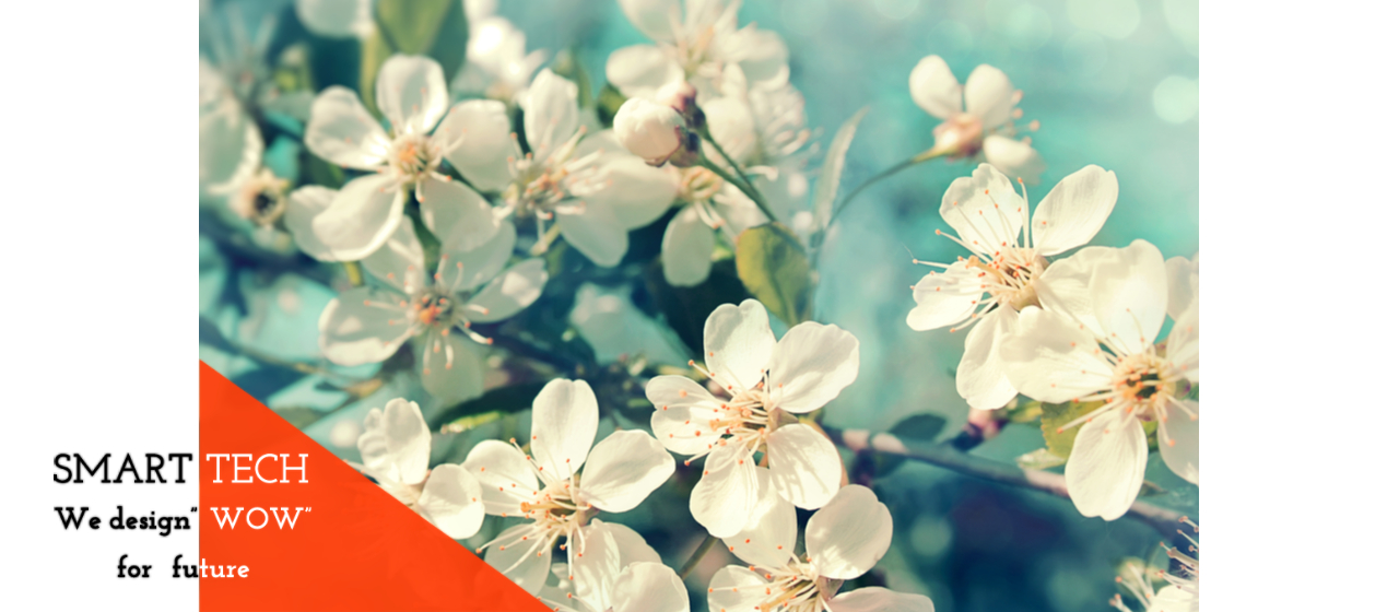 みんな違ってみんな良い。2021年度新卒入社メンバー紹介！vol.2