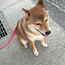 多利 晃太郎