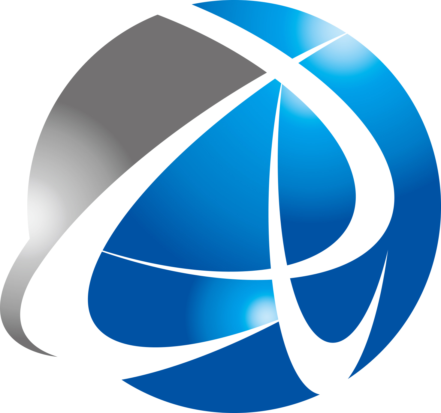 株式会社Rise Tech Solutions