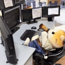 Maksimilian Shelekhov
