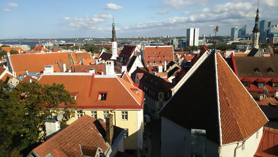 エストニア視察