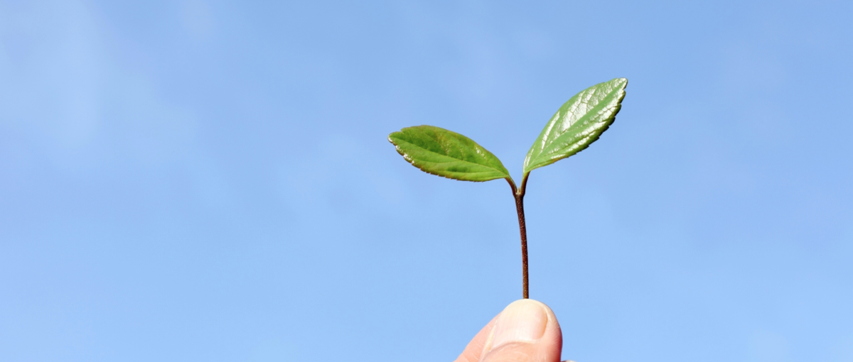 システム開発エンジニアになりたい人大募集！！！