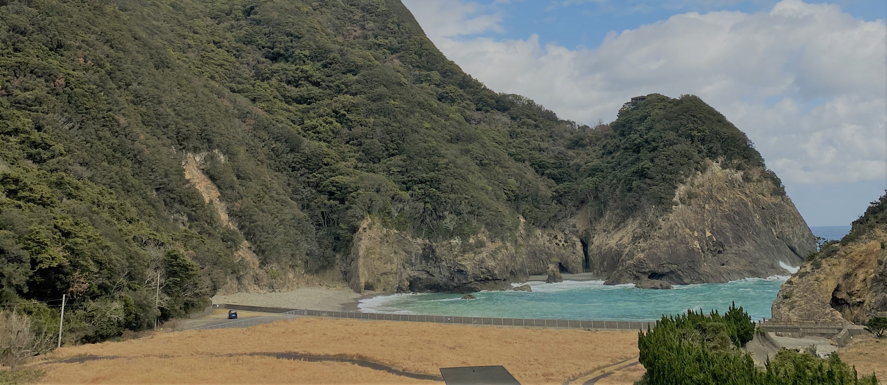 入社して知った！うみの株式会社のこと【３つ】