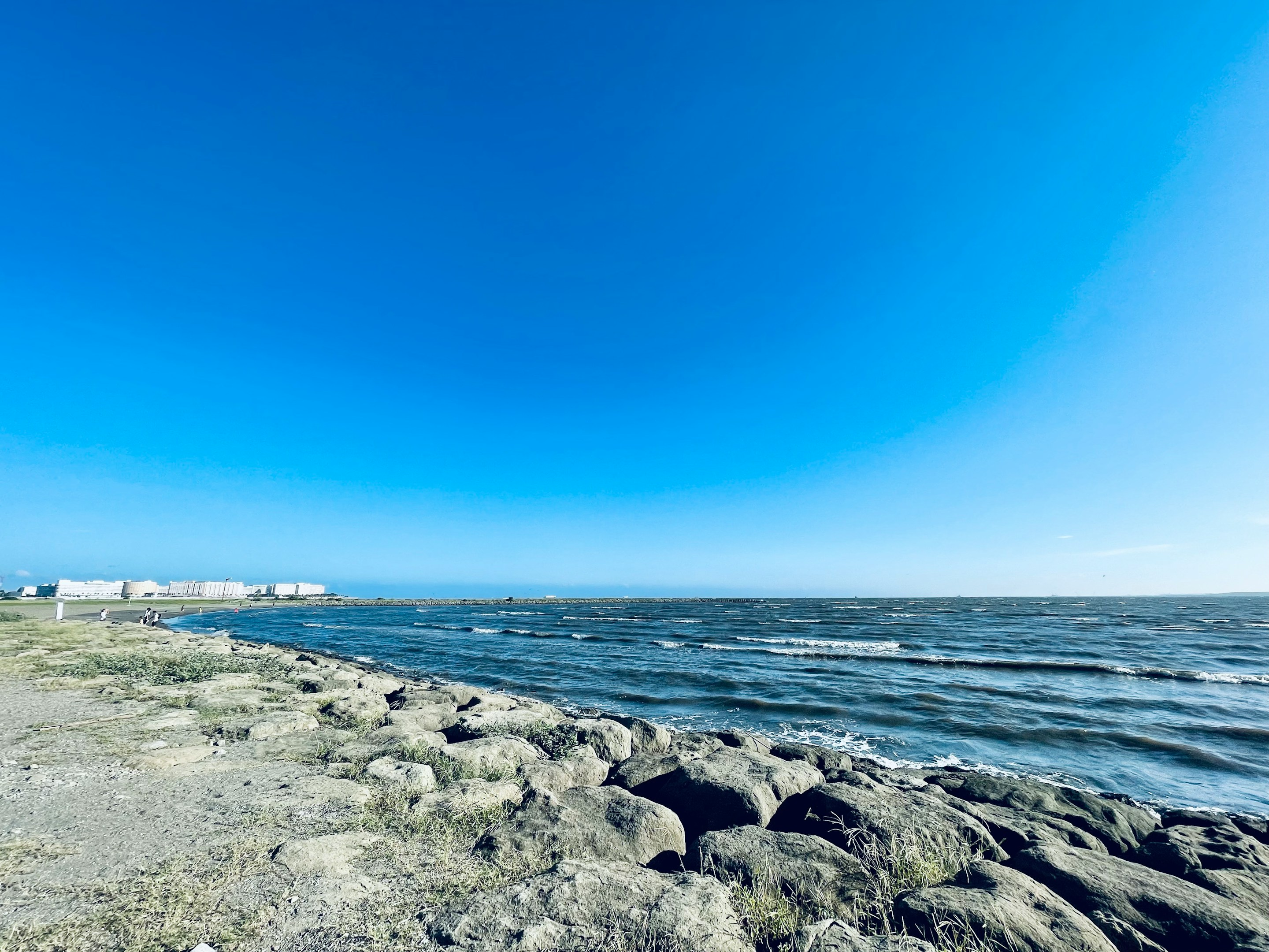 【趣味の話】55,598