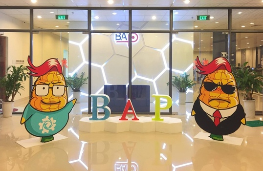 Offshore Development