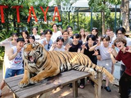 賞与海外旅行2026.02  @タイ タイガー・パーク・パタヤ