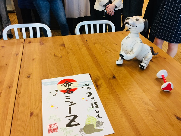 aibo出品 ソニー「aibo」、30分で完売 | ロボット ニュース | 日刊