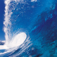 熊谷 裕樹さんのプロフィール