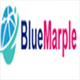 bluemarple webdesign