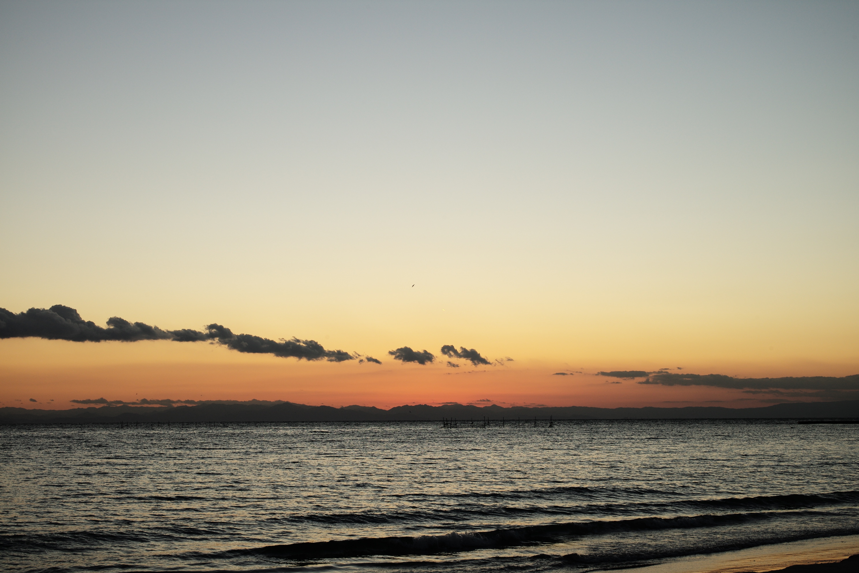 本当はどうしたいの？