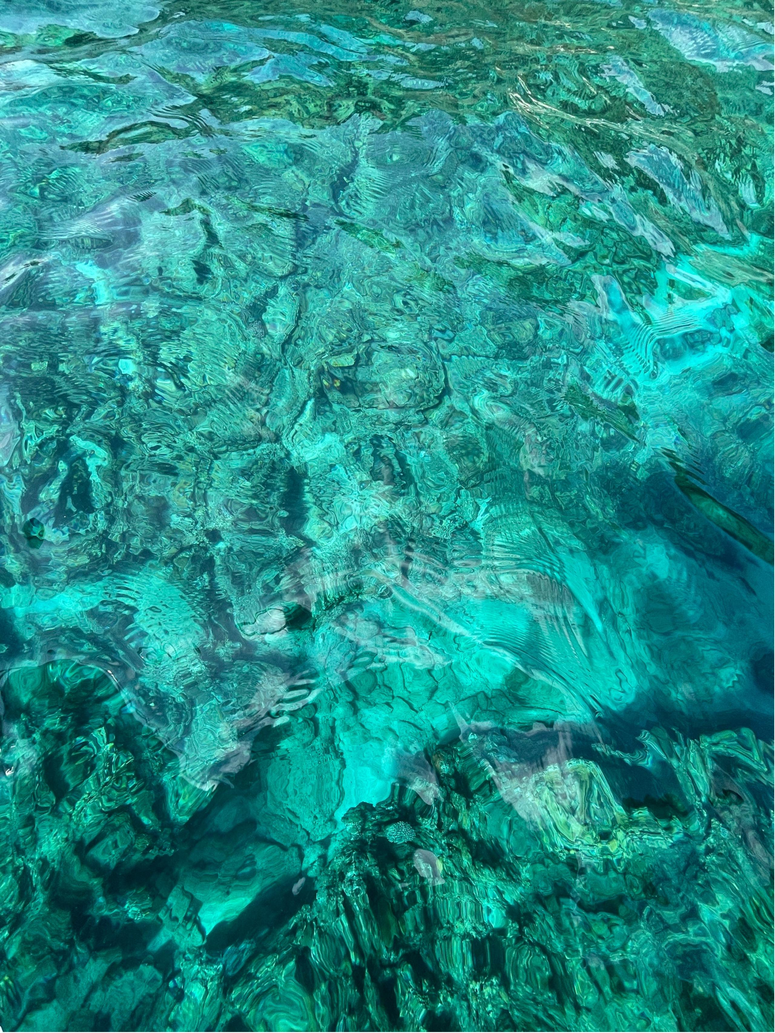 RelDev（リルデブ）の価値とは？