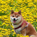 鈴木  悠太