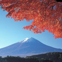 デーウィ モンジョー