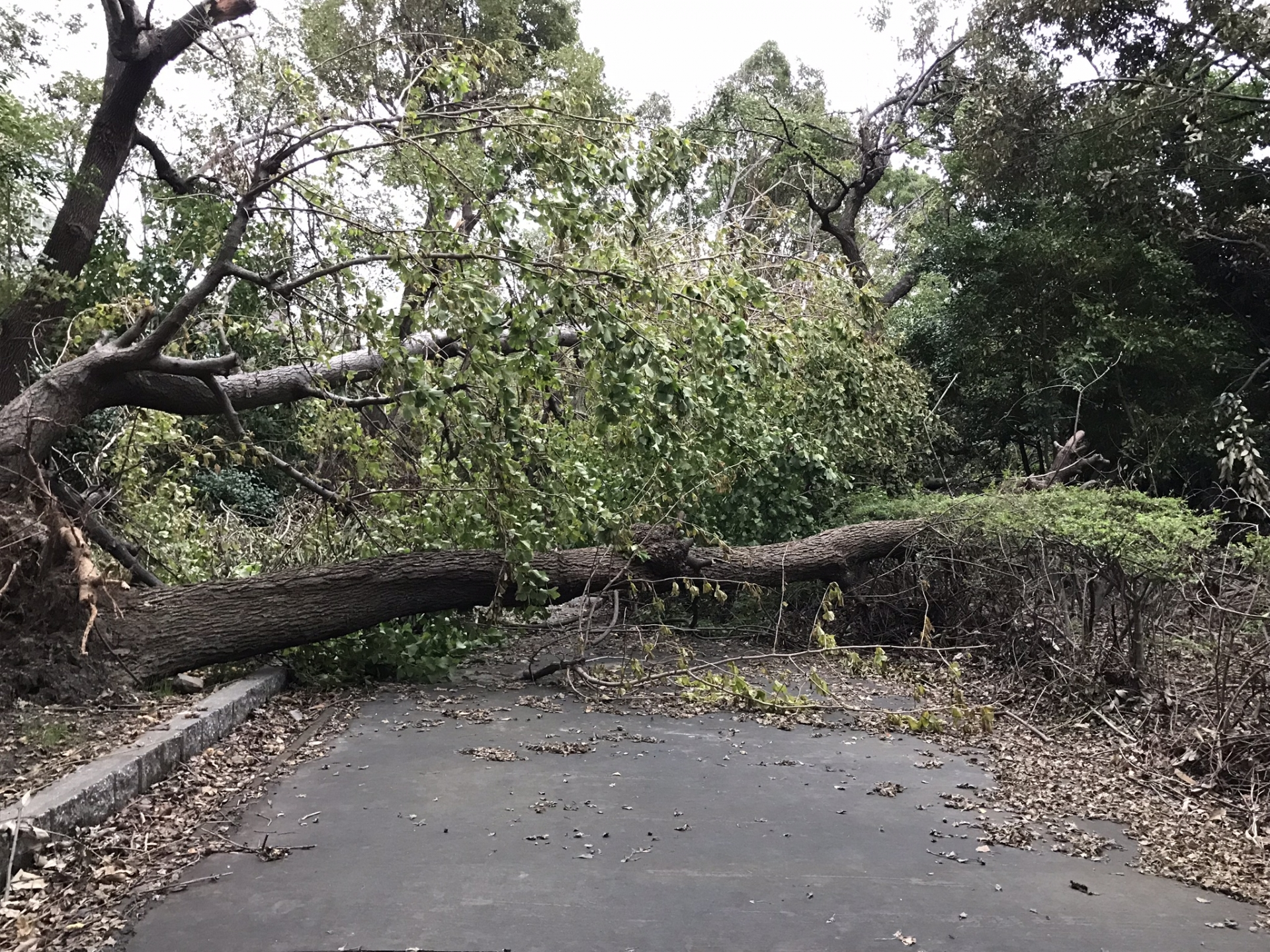 「ご近所SNS」を活用した、新しい形での災害時の助け合い