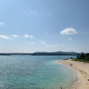 大城 智子