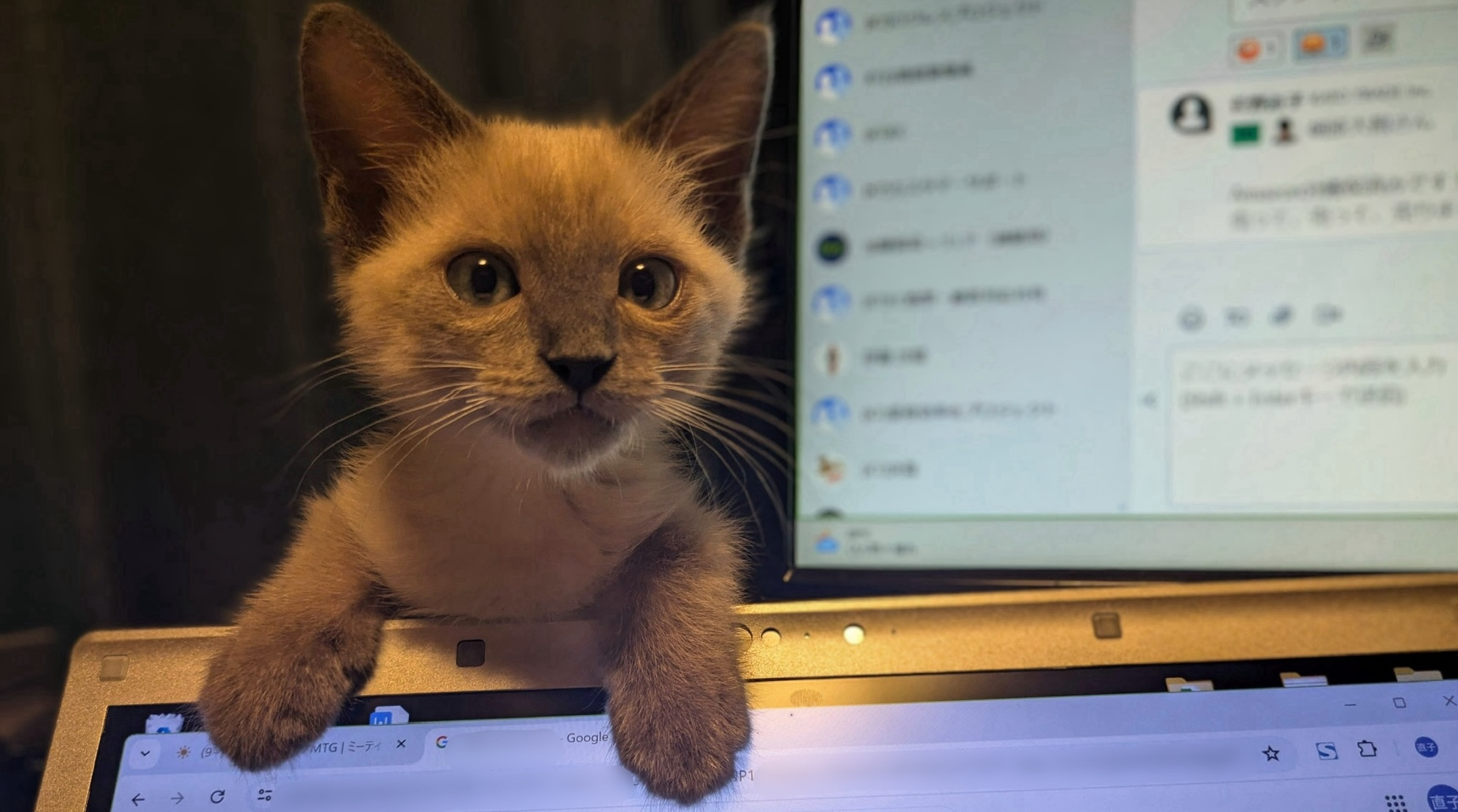 私が加藤貿易を選んだ理由