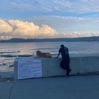 牛飼 翔