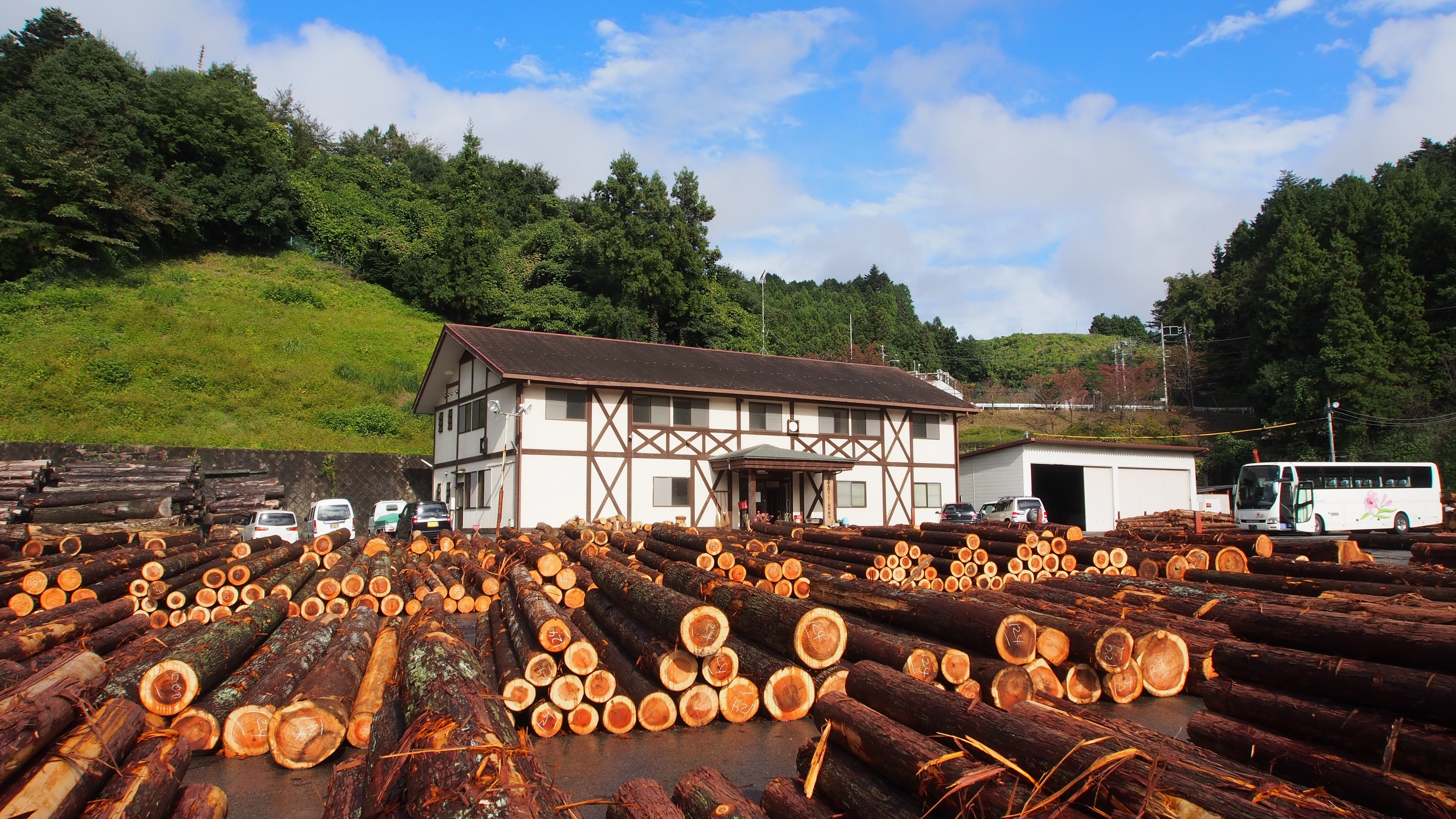 ここが東京？都内唯一の原木市場