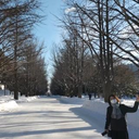 masako ichihara