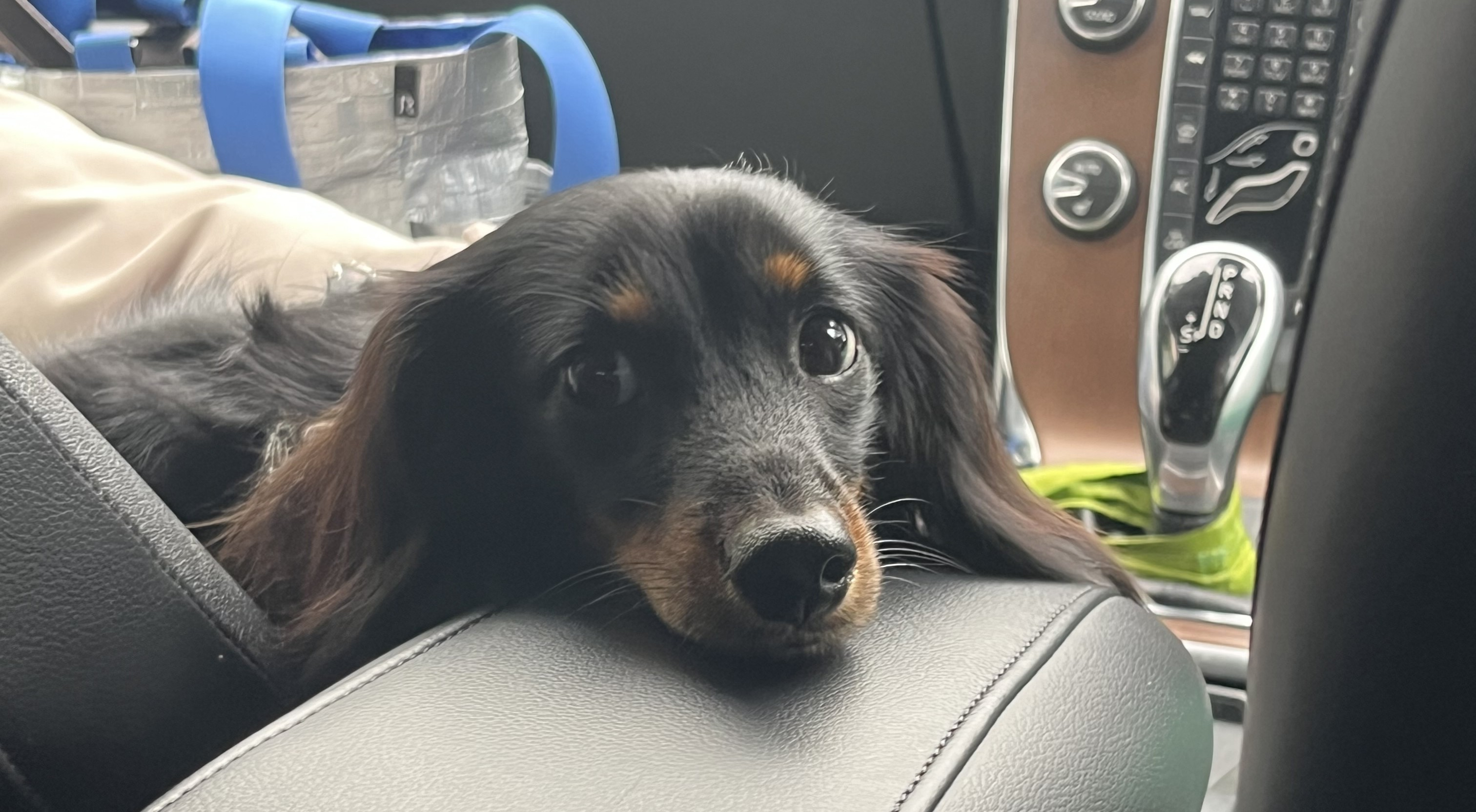 VOGUE風30の質問答えてみた