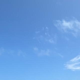 理来 関口