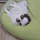 中村 将人