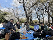 お花見の様子