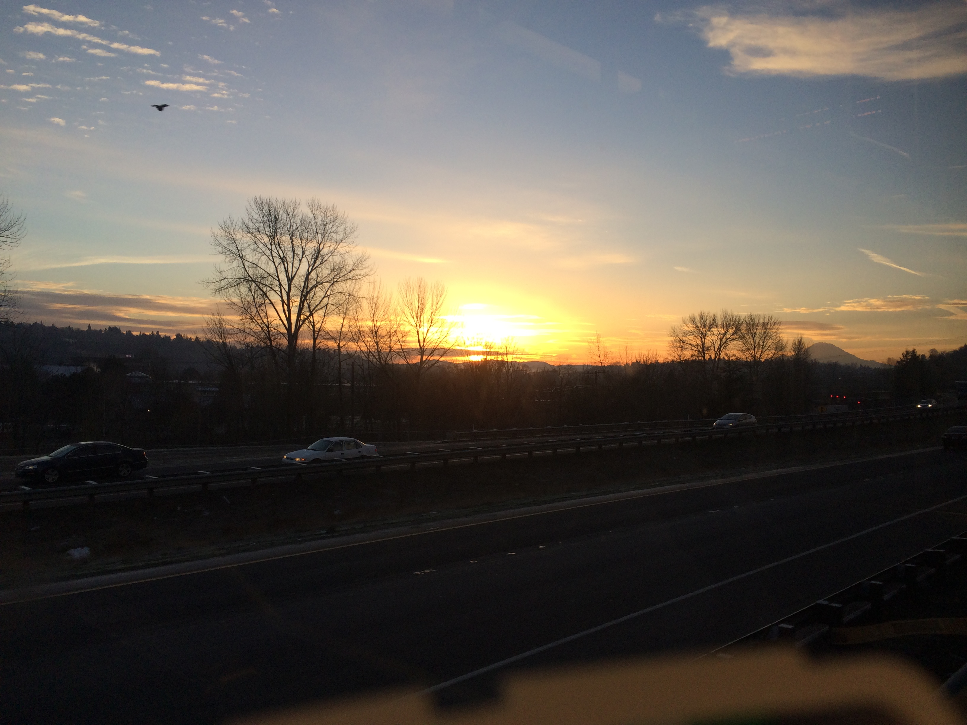 成長には調和が必要である。