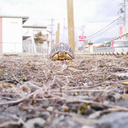 Hida Takahiro