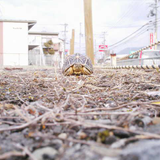 Hida Takahiro