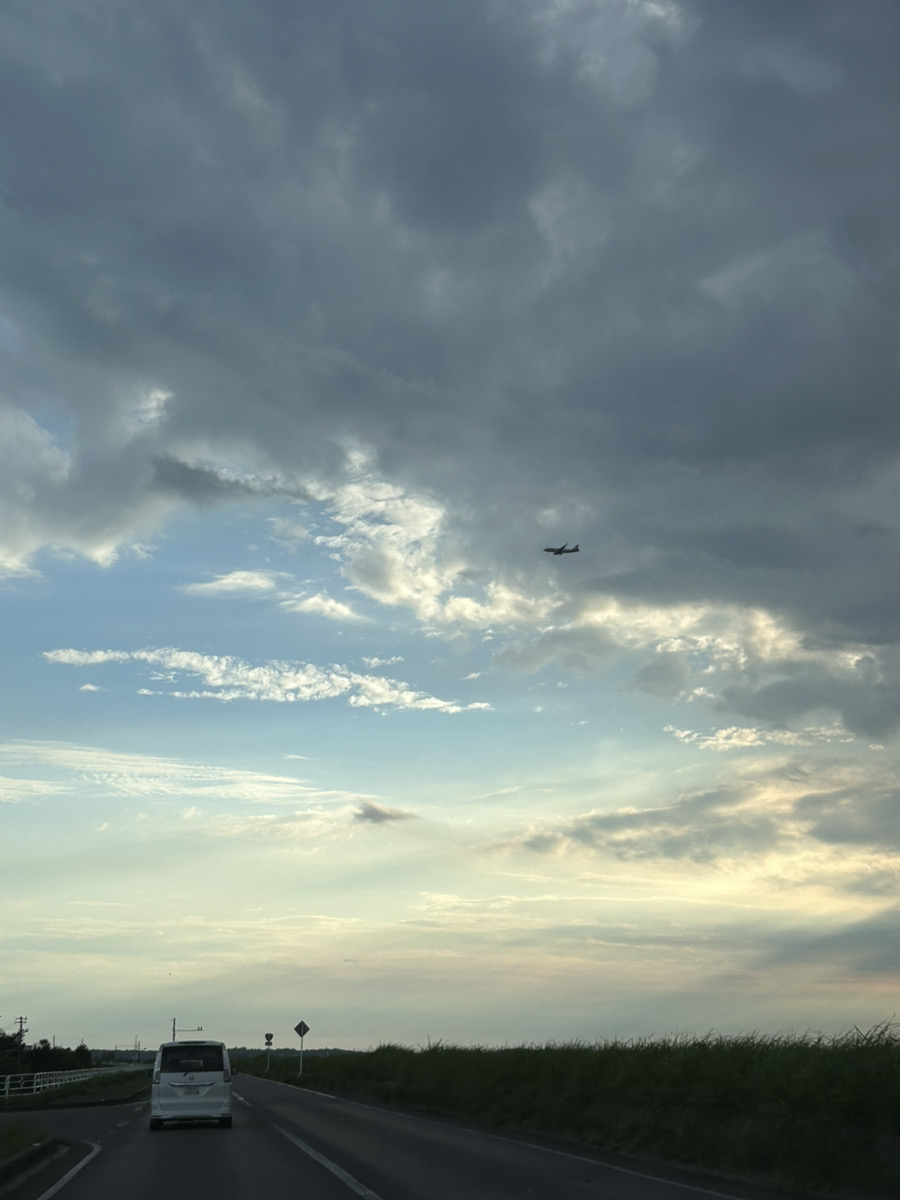 【Proteaの日常】仕事もプライベートも、結局『熱量』がすべて。私の夏季休暇、公開します。