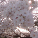 前田 高次