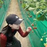 安藤 彩虹