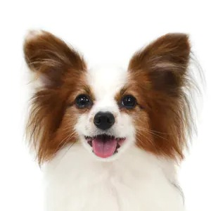 新田 寛