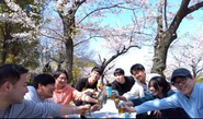 花見やBBQ　イベントもあり、社員同士の仲が良いです。