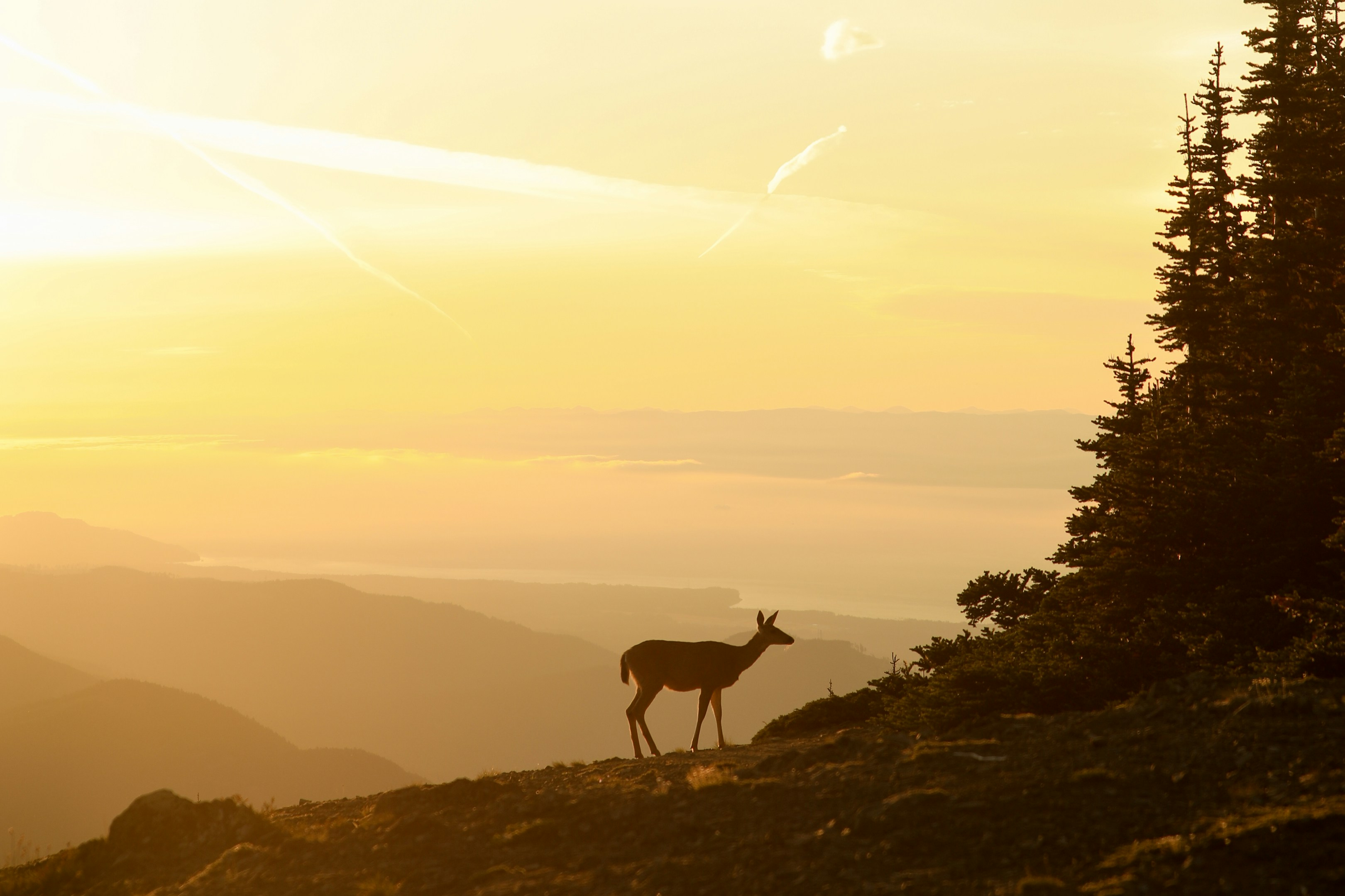 落ち込んだり泣くのは一流の演技