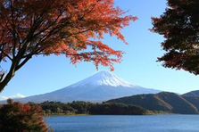 山梨で新規事業の立ち上げメンバー募集！
