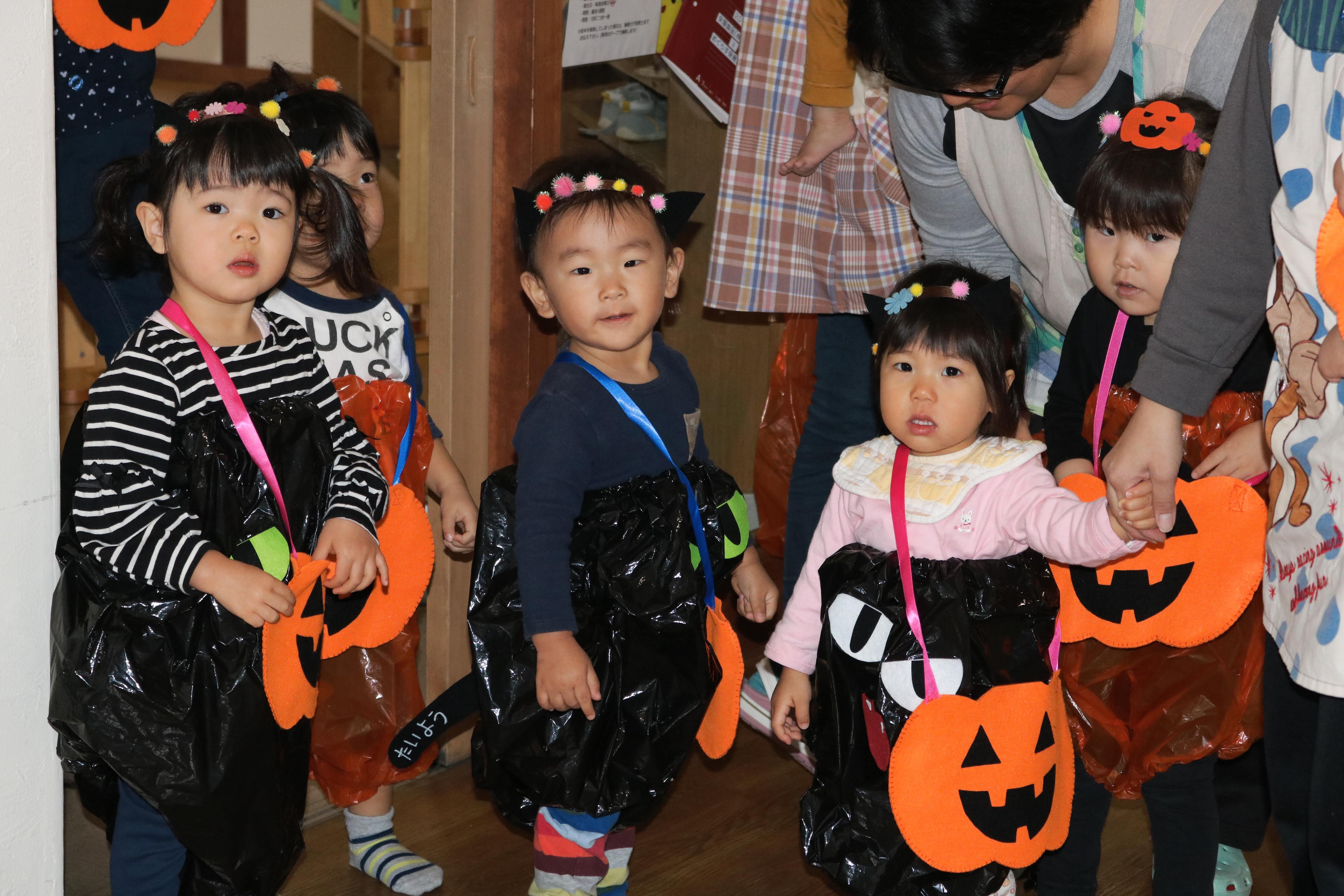 オフィスに癒しを。