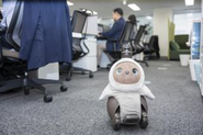 東京オフィスで活躍するピピちゃん