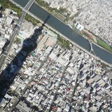 橋本 歩武