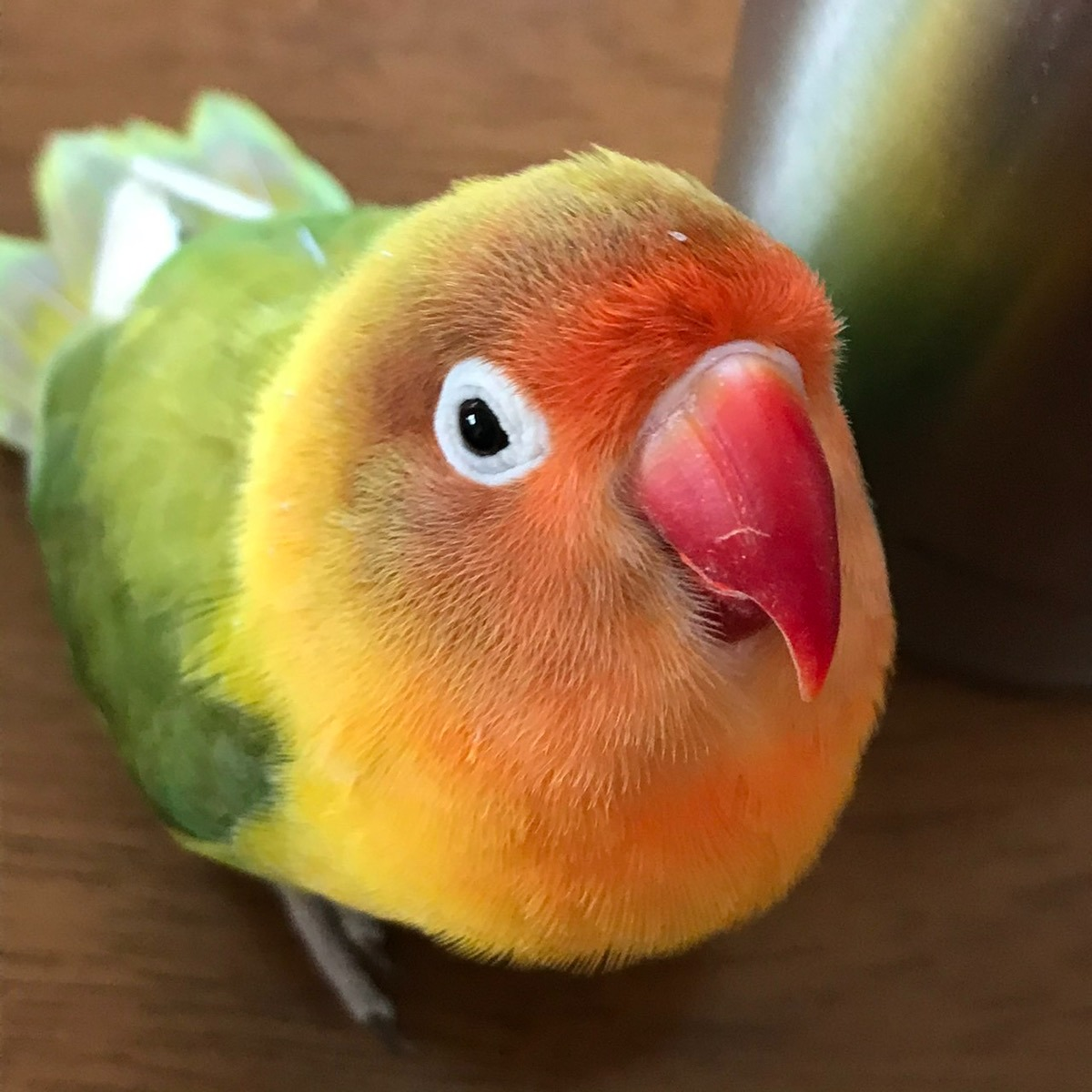 内部監査室 室長代理E・S