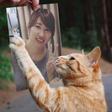 篠崎裕美