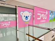 児童発達支援スクール「コペルプラス」を3校運営