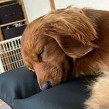 藤澤 彩