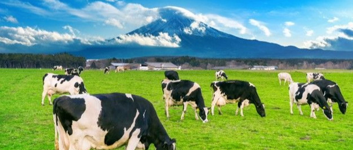 北海道×人×世界遺産＝北こぶしリゾート