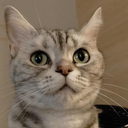 松元 崇彰
