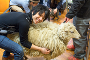 代表の原田は三度の飯より動物をもふもふするのが好き