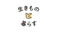 ブランドキャラクターの「とい」君。名前の由来はtoitoitoi（相手の幸運を願うおまじないの言葉）